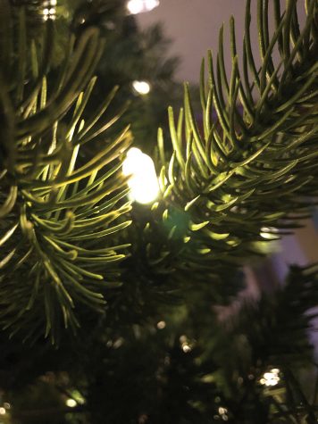 Merry and bright: When is it appropriate to put up holiday decor?
