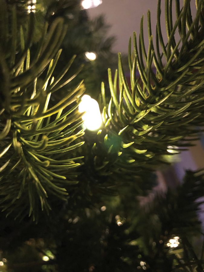 An example of a glowing light on a tree. This small light is one of hundreds on a 10 foot tree.