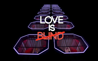 The pods are depicted as a wonderland for the couples featured on the Netflix series Love is Blind. 