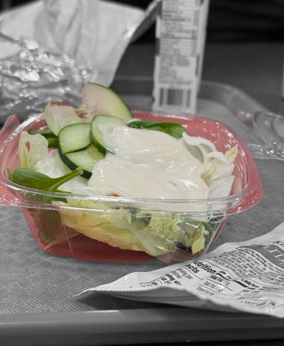 A salad is one of the few plant-based options in the NHS cafeteria. Some students resort to the salad bar to limit their meat consumption, but wish there was a larger variety.